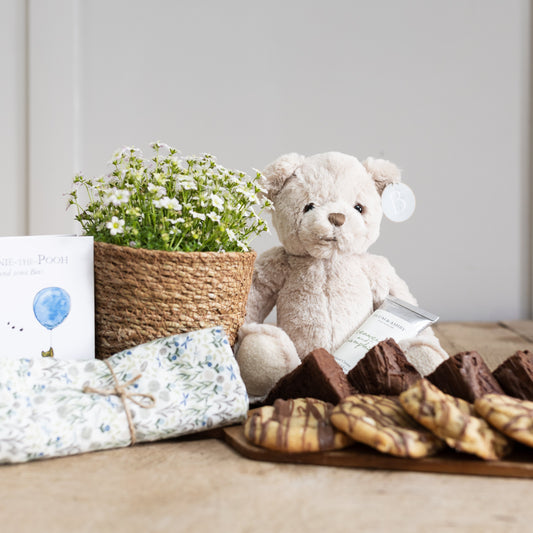 Newborn Bubble (medium gift collection)