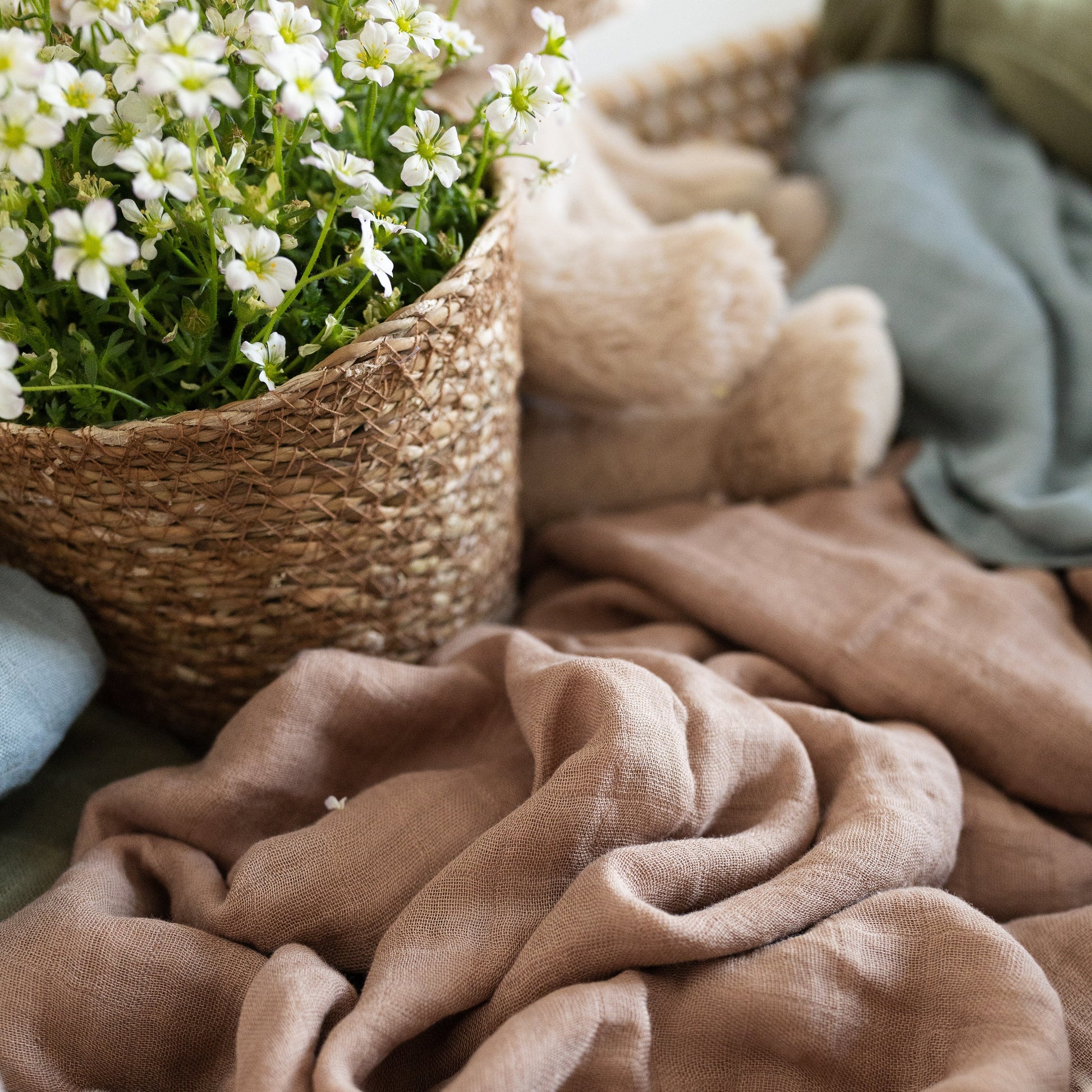 Plant, muslin and bear